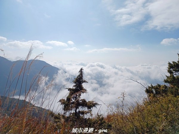 【高雄桃源】朝聖壯闊山景之南橫三星。 編號77百岳~關山嶺山2089042