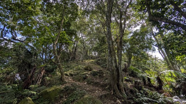 114.12.07筆架連峰之旅2957040