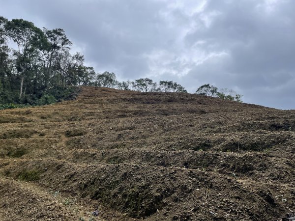 坪林烏窟子山2685873