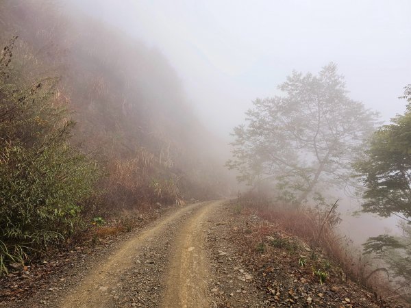 小百岳集起來-白雲山2184993