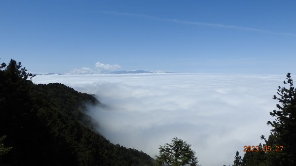 太平山之望洋山&觀雲步道之雲海+觀音圈5/282163462