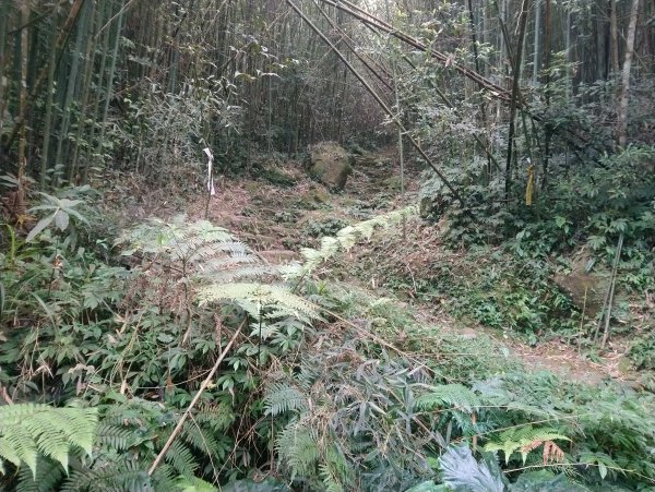 馬那邦山(小百岳編號037)720092