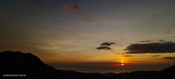 雲山水花鳥蝶 - 天龍國阿伯的日常 7/23 仰望美人的靜凝2227553