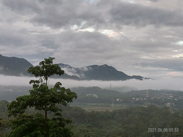 六月上旬晨走義確山下1413405