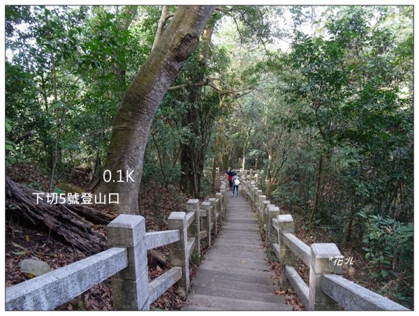 台中/大坑最美5-1步道882409