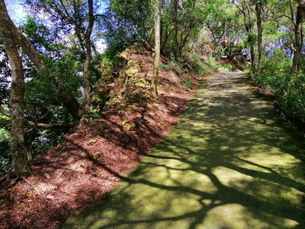 台中太平~郊山踏青。 咬人狗坑登山步道~43小百岳三汀山