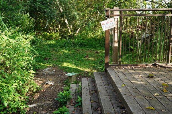 桃園 復興 枕頭山、阿姆坪山2794101