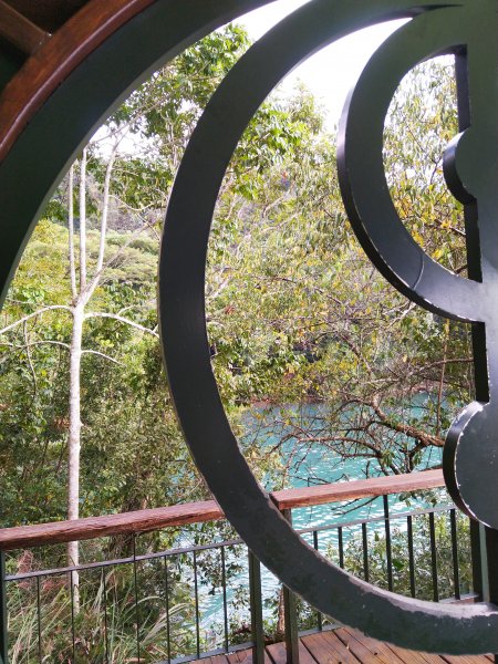 南投魚池~尋找自己生日的階梯。年梯步道1027937