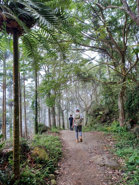 【台南白河】雞籠山+九龍山+大凍山O繞縱走2797169