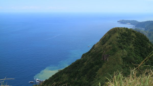 黃金一稜(基隆山O型縱走)450386