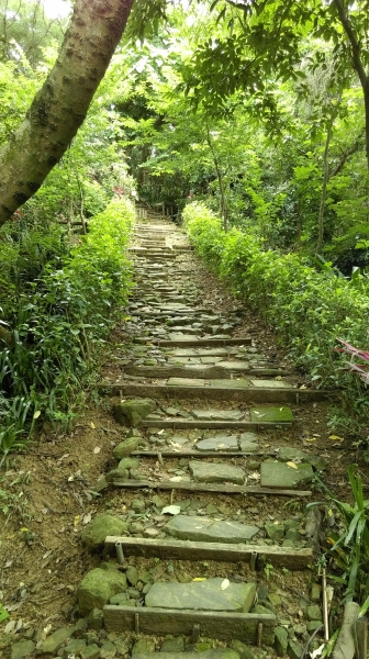 土城內冷水坑山-大尖山 105.6.1254839