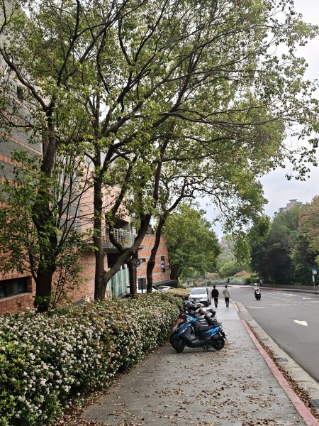 2026-0323 台北大縱走第一段3022678