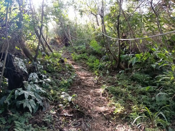 基隆市/萬里區界寮縱走之三界山+三界山西峰+開眼尖山+七分寮山+瑪七產道山泉水接水亭2979599