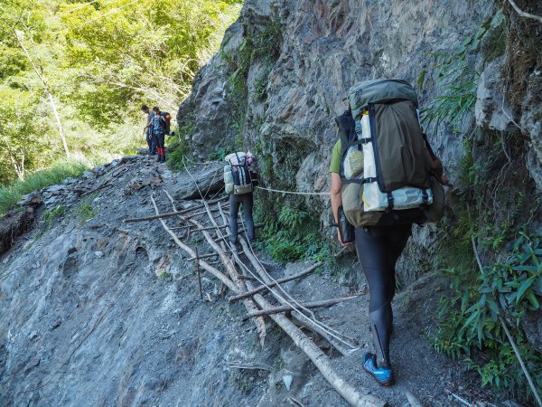 [百岳]能高越嶺逆走與奇萊南峰1042682