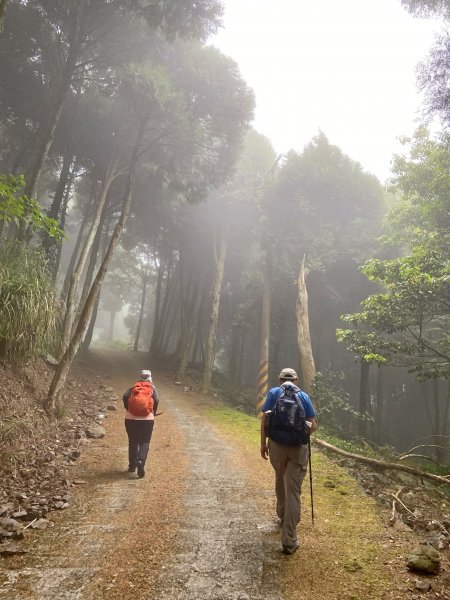 終於登上百志興保山順撿永安山    2021/4/191356930