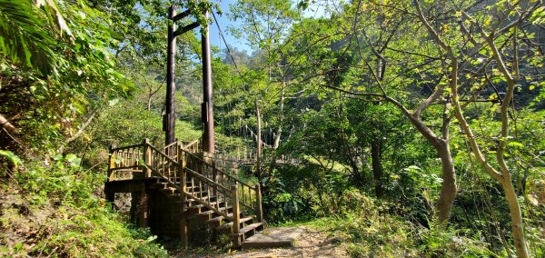 2022-03-05獨立山國家步道、阿拔泉山、觀音石山1631266