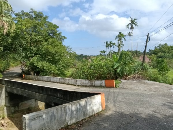 雙溪區冬陽下閃閃菅芒花2949418