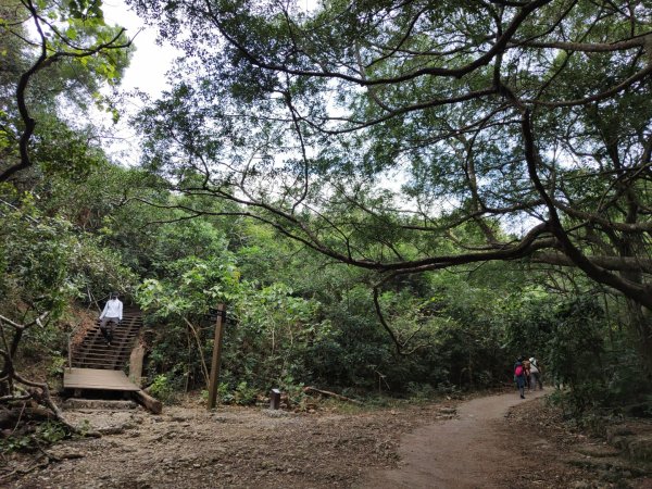 2023.12.24 高雄壽山2835326