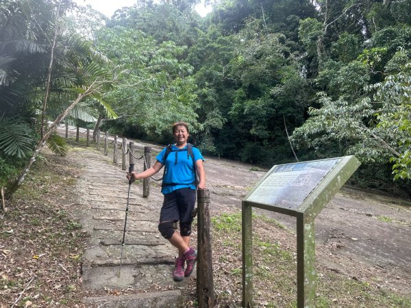 阿里山達娜伊谷、里美避難步道、巨石板步道2909922