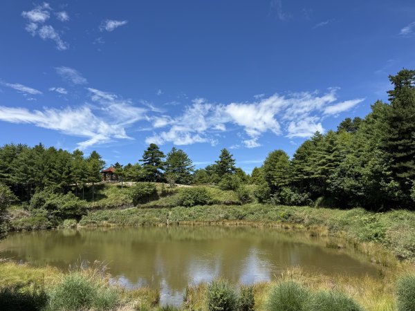 84稍來小雪山步道及天池神木11508183110068