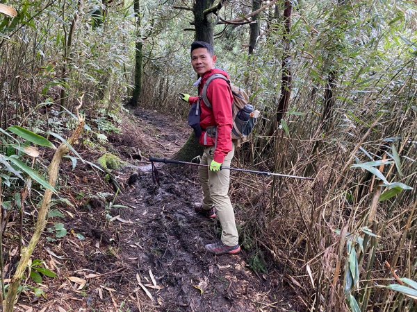 小觀音山群峰【當登山遇到惰性來襲時…】2686374