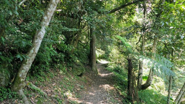 福山部落,內洞森遊區2552430