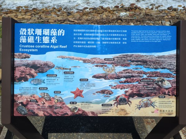 2025.07.26－霄裡好風光：觀音~新屋自行車道2847828