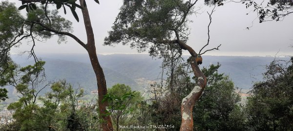 《苗栗》霧雨寒流｜三義三角山步道202512252969256