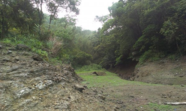 大竹坑山201404241960001