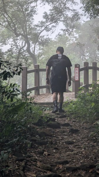 ∆步道∆ 王爺崙山 龍麟山步道2750749