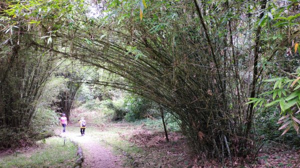 福山植物園1091018