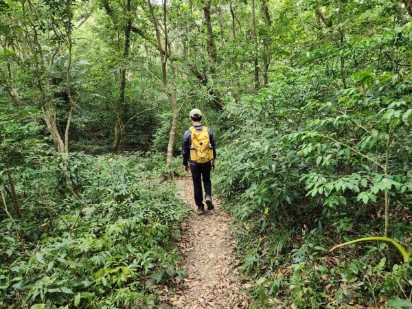 小百岳No.80⛰里龍山2776358