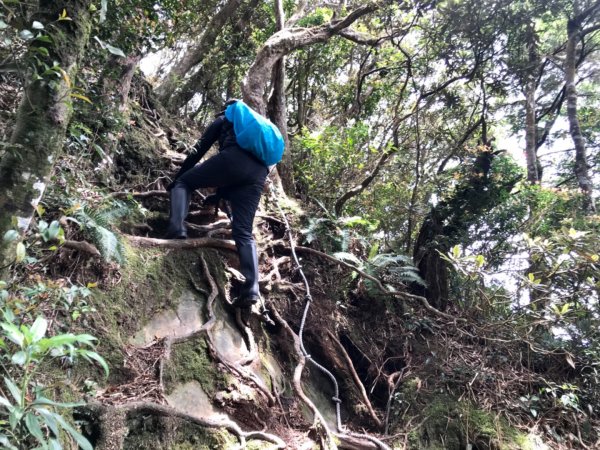 嘎色鬧走那結山1370962