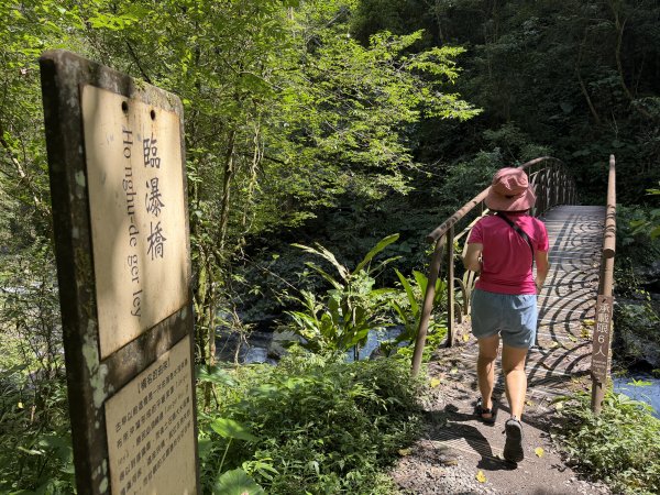 九寮溪步道(戈霸瀑布)2026.06.193079258
