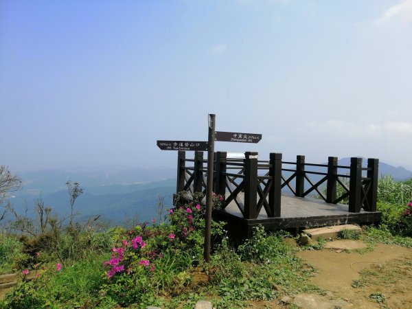 姜子寮山步道&姜子寮絕壁步道549601