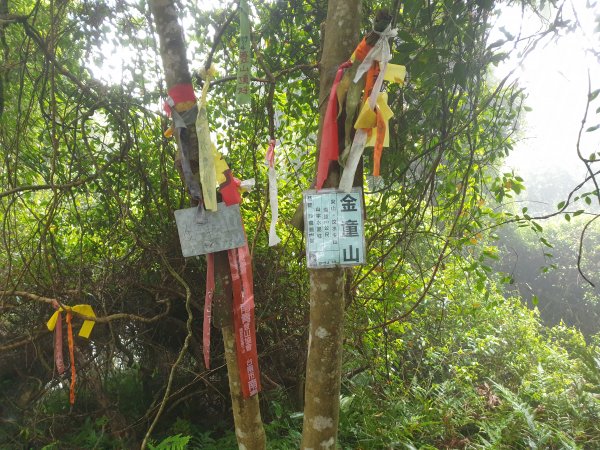 人生之中有點可怕的登山行程......玉女山、金童山及汶水山1552820