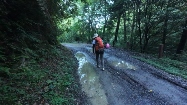 大霸群峰:大霸尖山、小霸尖山、伊澤山、加利山、耶巴奧山2849578