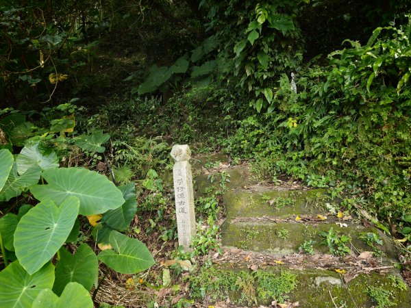 [淡蘭古道] 2026_0531 北路第一段_苧仔潭古道3070487