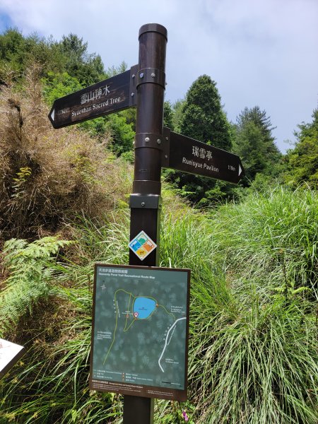 2026-0705-大雪山神木啞口健行3082581