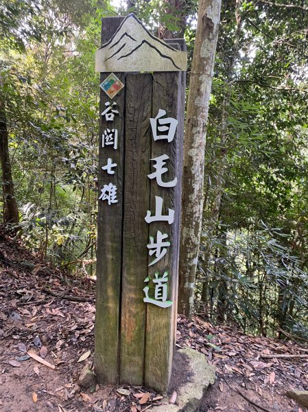 谷關七雄 老六 白毛山2261510