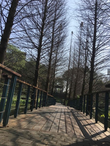 福氣步道、養生步道、長庚養生文化村2441859