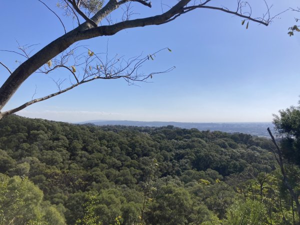 大肚萬里長城步道2973913