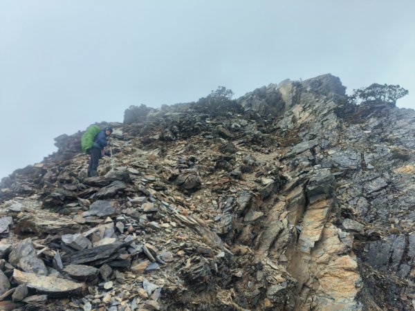 20240320 馬博8天縱走~第五天，馬里亞文路山，馬利加南山2471216