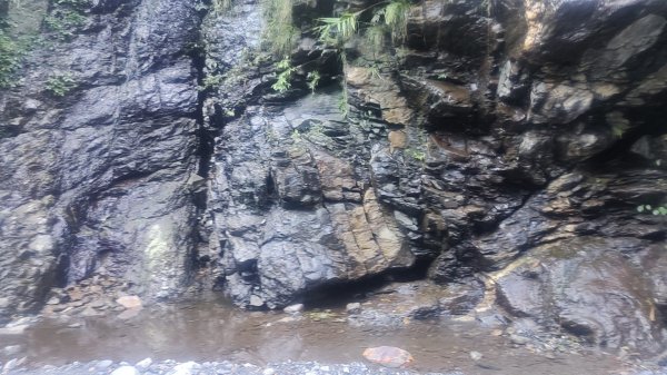 北港溪峽谷步道溫泉2697740