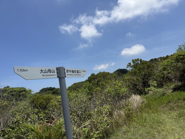 78赤牛嶺大山母山3083575