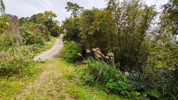新北深坑，新翠谷登山步道3029714