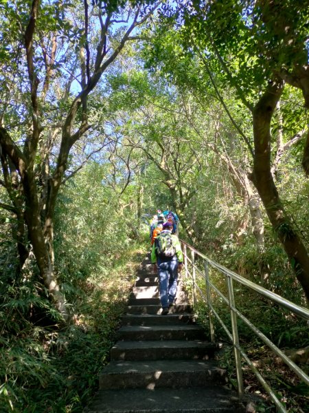 ［七堵縱走］（龍鳯山+萬壽山+瑪陵尖群峰）2339472