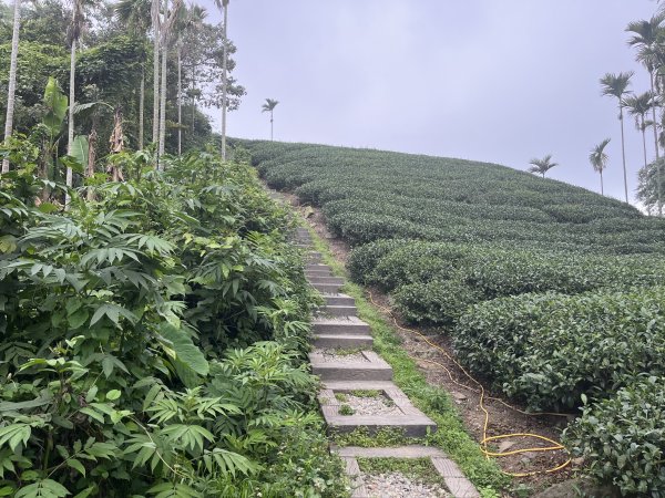 2023_0429_挑筍古道2138233