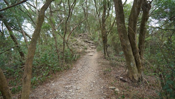 小百岳集起來_笠頂山登山步道2368373