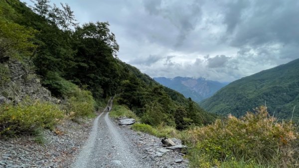 1100818大鹿林道東線1.5k-雲霧步道1443374